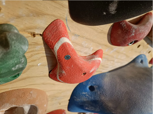 close-up of textured red, blue, and green climbing holds bolted onto a wooden plywood training wall