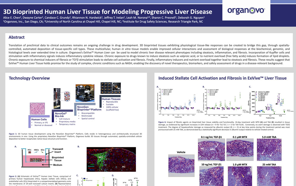 A scientific presentation poster by Organovo detailing their 3D bioprinted human liver tissue models used for drug testing