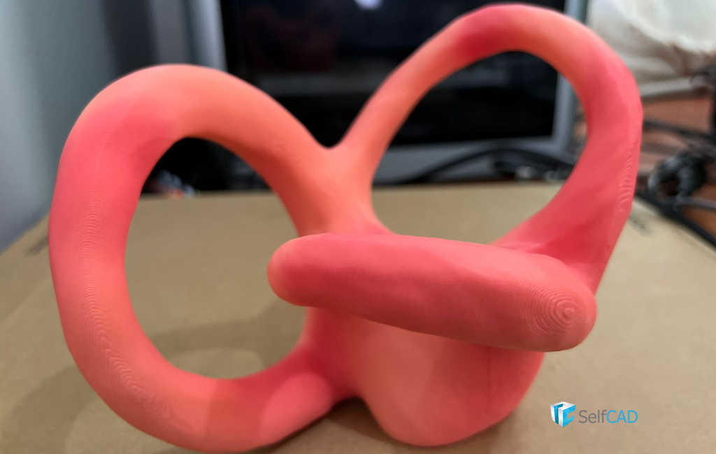 Vestibular Apparatus Model