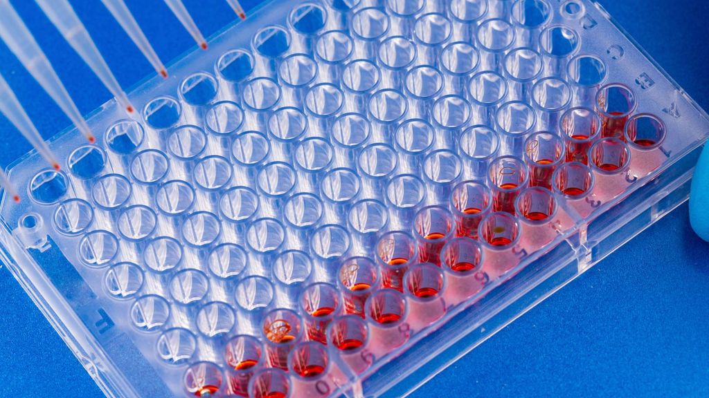A close-up of a laboratory pipette dispensing red liquid bioink into a clear multi-well testing plate.