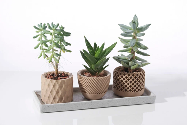 Modern Geometric Succulent Plant Pot