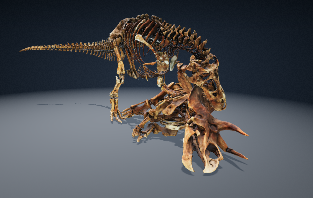 3D-rendered skeletal models of a Tyrannosaurus rex standing over a Triceratops skeleton against a dark background.