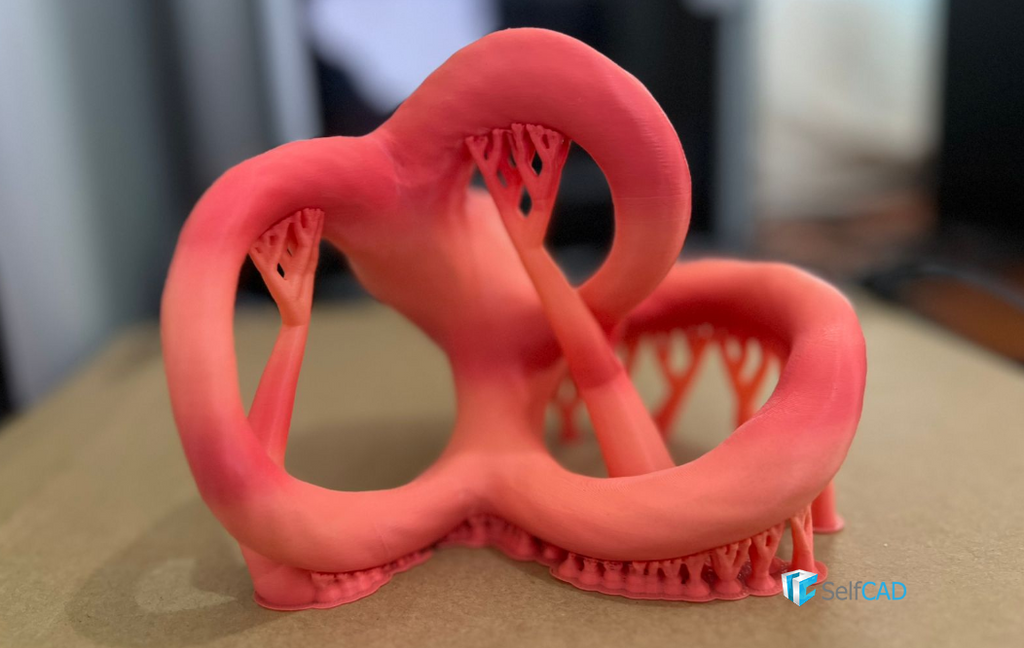 Vestibular Apparatus Model