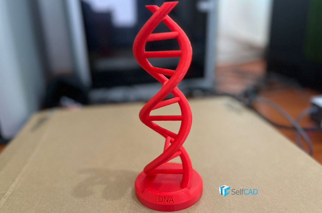 DNA Model