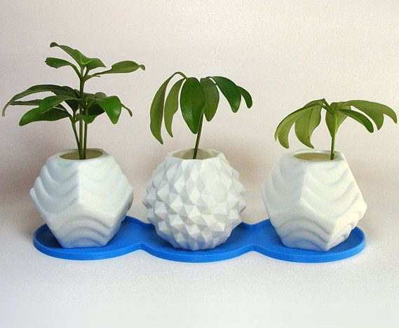 Plant Pots