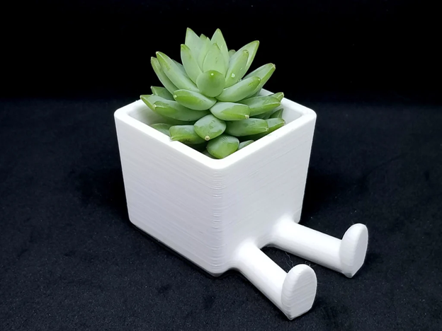 Succulent Planter