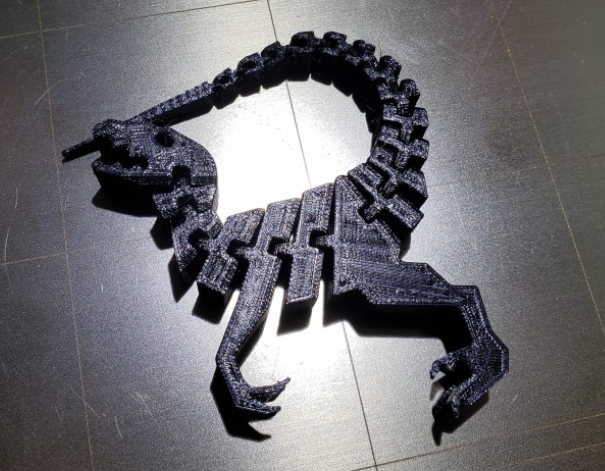Flexi raptor