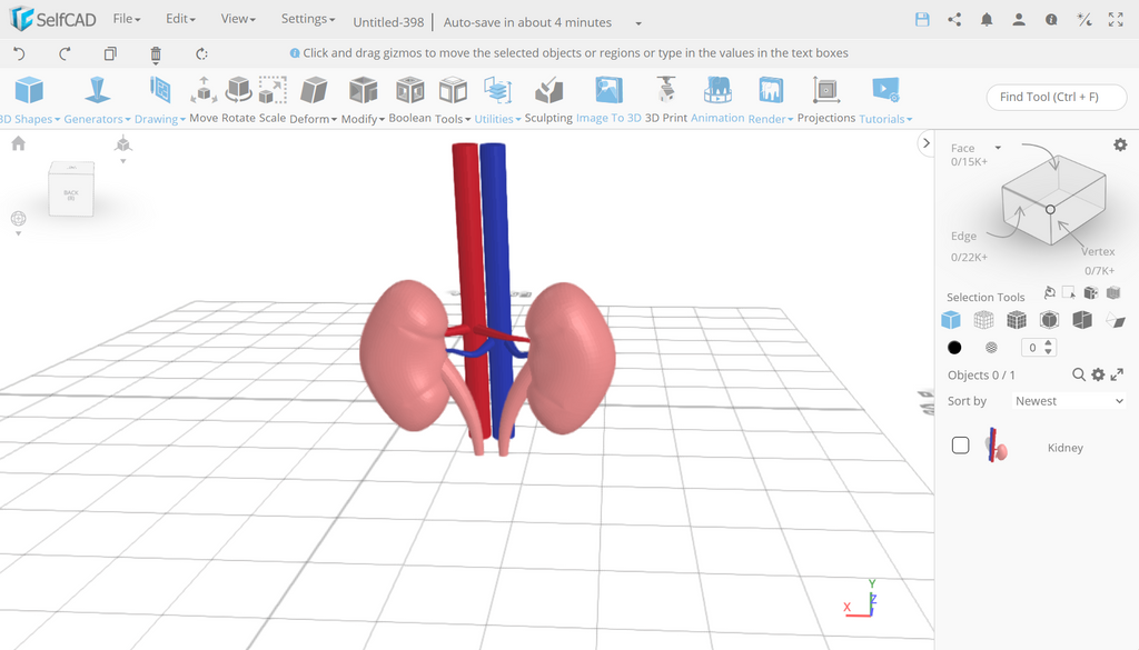 3D designing the kidney in SelfCAD