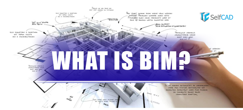 What is BIM