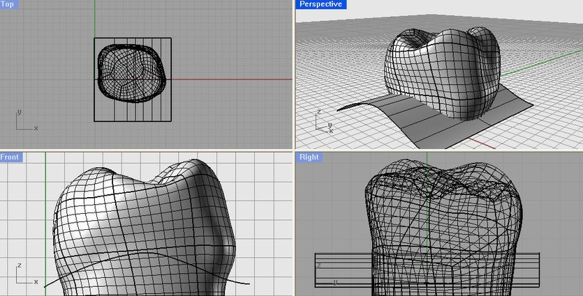 NURBS modeling