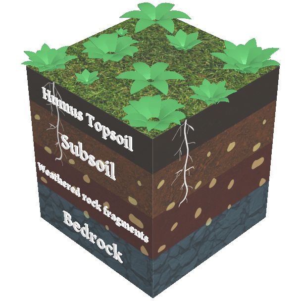 3D model of the earth