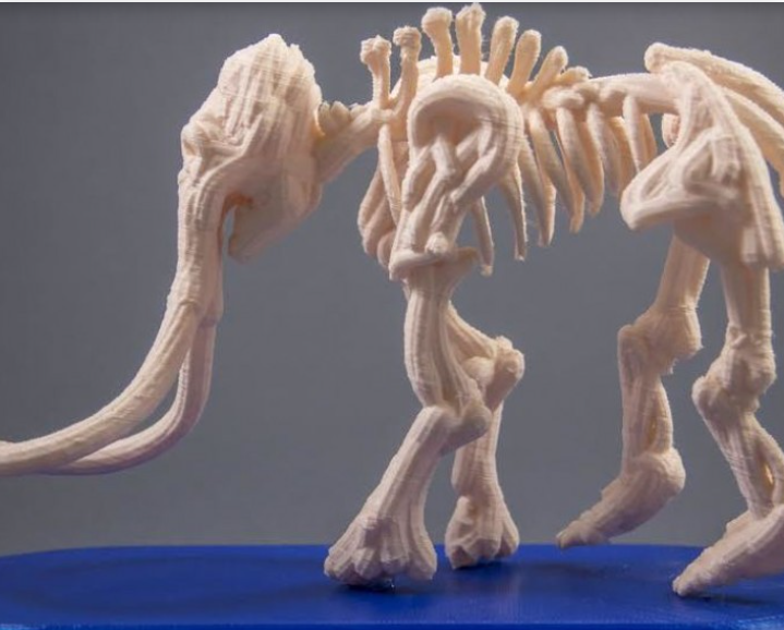 Mammoth Fossil by MakePrintable
